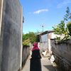 sopiazahraeni