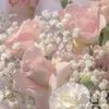 bbellaxnz_0