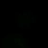 ansarrsl