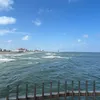 rebornw8