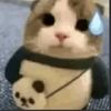 aqua_vouide.en