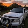 aden_neemsyd40