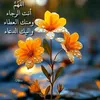 user32620509928030
