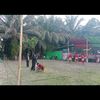 jlembahhijau