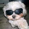 swager610
