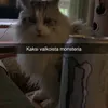 aato_karkkainen