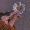 jana.moustafa45
