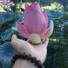ahnpaulha96