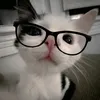 its.drei28