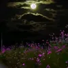 tranthuan687879