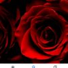 ilham77868