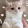 cherry_chan06