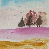 coralyn57