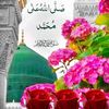 dranwarulhaq1