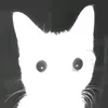 rostik_.x