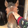 altyn.kz7