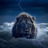 mufasa1219