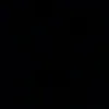 salmanbarshalone10
