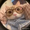 theboss_.443