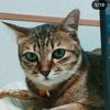lek02671