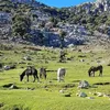 Boulfassa el mahdi 2
