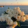habiba.ali437