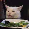elgatodotcom