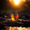 Paisagens relaxantes