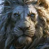 lion36969