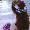 ameeruclmr2