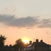 rosie_backup_account3811