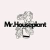 Mr.Houseplant