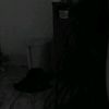 majad_4228