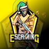esgaming295