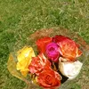 user8444774618476