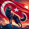 hasan.avu35