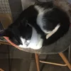 lilibwanpjb
