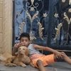 ammar.mohamed697