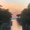 aurelia78_526