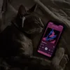 allyy.211