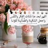 aboahmed11215