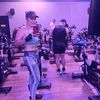 lipinedafit