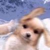 mari._.roblox64