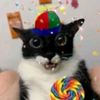 cat_vr_23