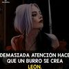 oficialmariel.com