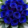 md.amir.hossain317
