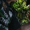 leo.torres3373