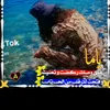 user74246671062051