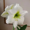 hiroko.t41