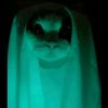 forr_mynazwa